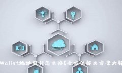 TPWallet地址转错怎么办？全方位解决方案大解析